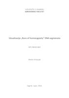 prikaz prve stranice dokumenta Vizualizacija "Runs of Homozygosity" DNA segmenata