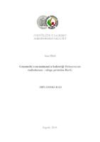 prikaz prve stranice dokumenta Genomski rearanžmani u bakteriji Deinococcus radiodurans: Uloga proteina RecG