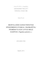 prikaz prve stranice dokumenta Morfološke karakteristike epidermskih stanica i razmještaj pigmenata kod latica male kadifice (Tagetes patula L.)