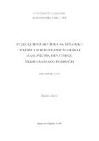 prikaz prve stranice dokumenta Utjecaj temperatura na dinamiku cvatnje i dozrijevanje maslina u maslinicima hrvatskog mediteranskog područja