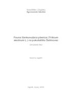 prikaz prve stranice dokumenta Fauna člankonožaca pšenice (Triticum aestivum L.) na pokušalištu Šašinovec