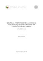 prikaz prve stranice dokumenta Izolacija fitopatogene bakterije iz tumorastih izraslina masline na području grada Umaga