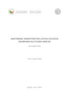 prikaz prve stranice dokumenta Anatomske karakteristike listova ocvijeća odabranih kultivara narcise