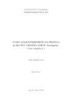 prikaz prve stranice dokumenta Utjecaj ektomikorize na prinos i kakvoću grožđa sorte 'Portugizac'