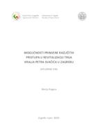 prikaz prve stranice dokumenta Mogućnosti primjene različitih pristupa u revitalizaciji Trga Petra Svačića u Zagrebu