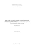 prikaz prve stranice dokumenta Simptomatologija i karakterizacija izolata fitopatogene bakterije Pseudomonas syringae iz tkiva biljaka roda Prunus