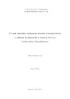 prikaz prve stranice dokumenta Učinak ekstrakta indijanske banane Asimina triloba [L.] Dunal na bakterije iz rodova  Erwinia, Escherichia i Pseudomonas