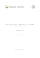 prikaz prve stranice dokumenta Effect of soil pH on common bean (Phaseolus vulgaris L.) sensitivity to simulated mesotrione residues