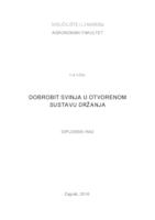 prikaz prve stranice dokumenta Dobrobit svinja u otvorenom sustavu držanja