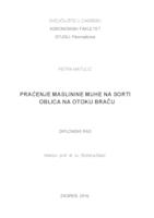 prikaz prve stranice dokumenta Praćenje maslinove muhe na sorti Oblica na otoku Braču