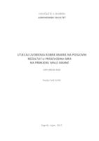prikaz prve stranice dokumenta Utjecaj uvođenja robne marke na poslovni rezultat u proizvodnji sira na primjeru male sirane