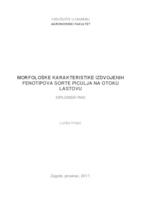 prikaz prve stranice dokumenta Morfološke karakteristike izdvojenih fenotipova sorte Piculja na otoku Lastovu