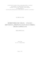 prikaz prve stranice dokumenta Rebrandiranje grada - analiza identiteta, prepoznatljivosti i imidža grada Lepoglave