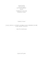 prikaz prve stranice dokumenta Analiza odnosa s javnošću ansambla LADO na primjeru izložbe „LADO/Reljefi/Tragovi“