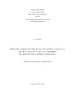 prikaz prve stranice dokumenta Organizacijski I funkcionalni aspekt nabave s aspekta kontrolinga na primjeru telekomunikacijskog  poduzeća