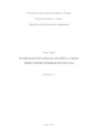 prikaz prve stranice dokumenta Komparativna analiza izvješća o radu vrhovnih revizijskih institucija