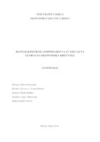 prikaz prve stranice dokumenta Razvoj kineskog gospodarstva i utjecaj na globalna ekonomska kretanja
