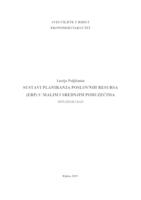 prikaz prve stranice dokumenta Sustavi planiranja poslovnih resursa (ERP) u malim i srednjim poduzećima