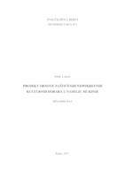 prikaz prve stranice dokumenta Projekt obnove zaštićenih nepokretnih kulturnih dobara u naselju Mukinje