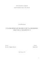 prikaz prve stranice dokumenta Unaprjeđenje promocije na primjeru Eko sela "Grabovica"