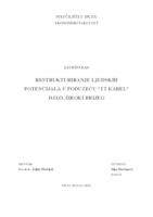 prikaz prve stranice dokumenta RESTRUKTURIRANJE LJUDSKIH POTENCIJALA U PODUZEĆU “TT KABEL” D.O.O. ŠIROKI BRIJEG