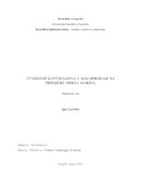 prikaz prve stranice dokumenta Uvođenje kontrolinga u maloprodaji na primjeru obrta Marina