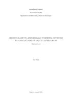 prikaz prve stranice dokumenta Brodograđevna industrija s posebnim osvrtom na analizu poslovanja Uljanik grupe