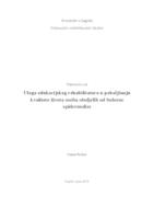 prikaz prve stranice dokumenta Uloga edukacijskog rehabilitatora u poboljšanju kvalitete života osoba oboljelih od bulozne epidermolize