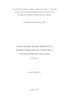 prikaz prve stranice dokumenta Uloga rashladnog sredstva u energetskoj bilanci motora sa unutrašnjim izgaranjem
