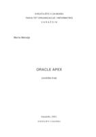 prikaz prve stranice dokumenta Oracle APEX