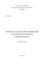 prikaz prve stranice dokumenta Disrupcije uzrokovane pandemijom kao pokretač digitalne transformacije