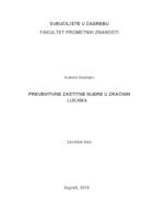 prikaz prve stranice dokumenta Preventivne zaštitne mjere u zračnim lukama