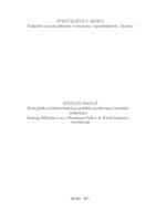 prikaz prve stranice dokumenta Energetska učinkovitost kao politika poslovanja hotelske industrije 