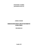 prikaz prve stranice dokumenta Hidrogeološki odnosi u priljevnom području izvora Čikole