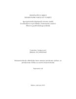 prikaz prve stranice dokumenta Rekonstrukcija obiteljske kuće unutar povijesne cjeline, sa primjenom čelika za nosivu konstrukciju