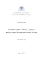 prikaz prve stranice dokumenta Fenomen "Cajki" u Gradu Zagrebu u kontekstu sociologije supkultura mladih