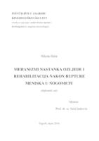 prikaz prve stranice dokumenta Mehanizam nastanka ozljede i rehabilitacija nakon rupture meniska u nogometu