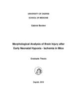 prikaz prve stranice dokumenta Morphological analysis of brain injury after early neonatal hypoxia - ischemia in mice