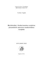 prikaz prve stranice dokumenta Morfološka i funkcionalna svojstva piramidnih neurona neokorteksa čovjeka