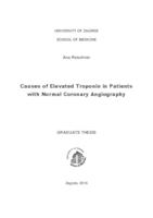 prikaz prve stranice dokumenta Causes of elevated troponin in patients with normal coronary angiography