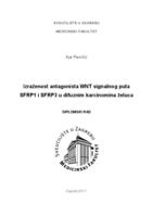 prikaz prve stranice dokumenta Izraženost antagonista WNT signalnog puta SFRP1 i SFRP3 u difuznim karcinomima želuca