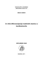 prikaz prve stranice dokumenta In vitro diferencijacija matičnih stanica u kardiomiocite