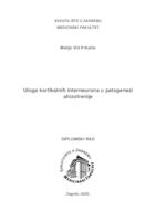 Uloga Kortikalnih Interneurona U Patogenezi Shizofrenije