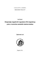 prikaz prve stranice dokumenta Ekspresija negativnih regulatora Wnt signalnog puta u tumorima zametnih stanica testisa