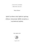 prikaz prve stranice dokumenta Epitel cerviksa miša tijekom spolnog ciklusa i ekspresija GABA receptora u cervikalnom epitelu