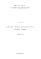 prikaz prve stranice dokumenta Raspodjela heterotrofnih bakterija u dubokom Jadranu
