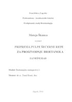 prikaz prve stranice dokumenta Priprema pulpe šećerne repe za proizvodnju bioetanola