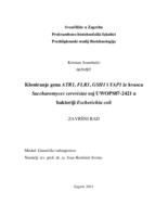 prikaz prve stranice dokumenta Kloniranje gena ATR1, FLR1, GSH1 i YAP1 iz kvasca Saccharomyces cerevisiae soj UWOPS87-2421 u bakteriji Escherichia coli