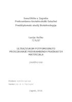 prikaz prve stranice dokumenta Ultrazvukom potpomognuto prosijavanje prehrambenih praškastih materijala