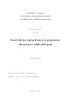 prikaz prve stranice dokumenta Konstrukcija sojeva kvasca sa pojačanom ekspresijom odabranih gena